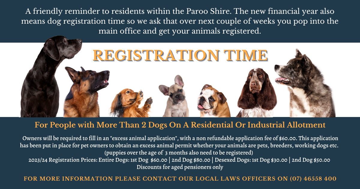 Dog registration time 2023 20